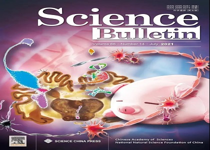 赋能科研 | 华大智造测序平台助力家猪脑图谱研究，相关成果入选Science Bulletin杂志封面