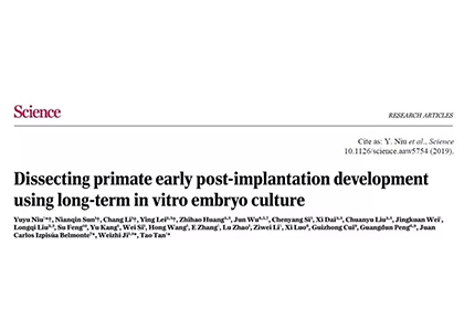Science | 华大智造测序平台助力解析植入后胚胎发育过程