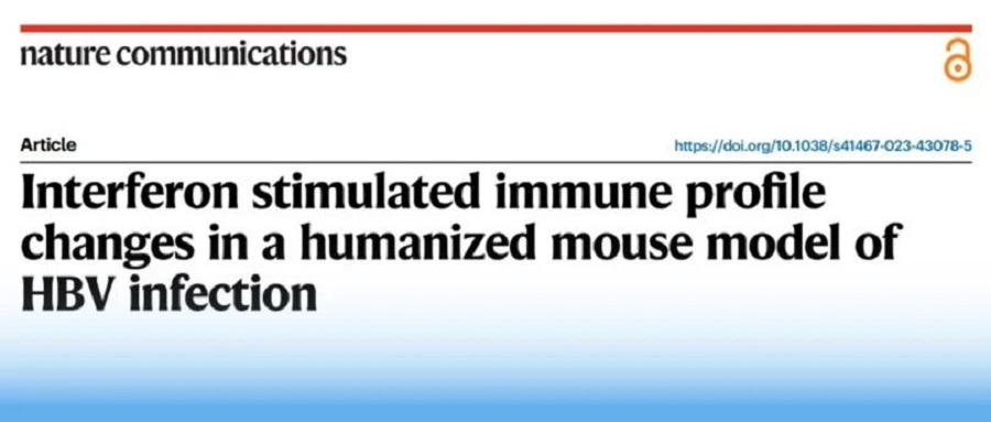 赋能科研 | 基于华大智造单细胞及测序平台，广州市八医院等机构发表慢乙肝干扰素功能性治愈研究的最新成果