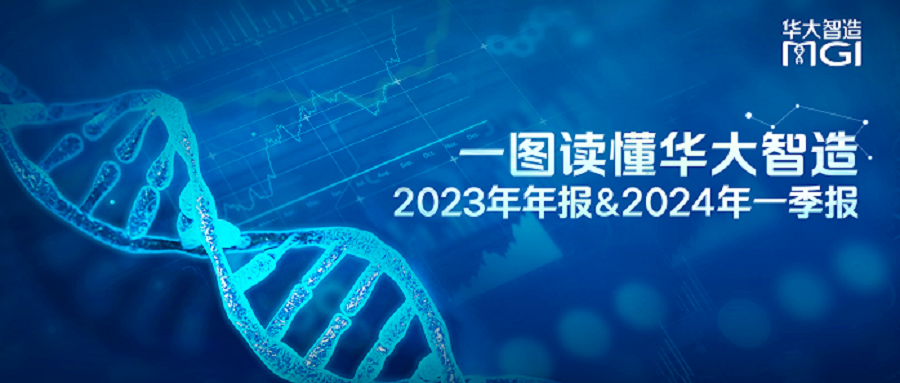 一图读懂华大智造2023年年报&2024年一季报