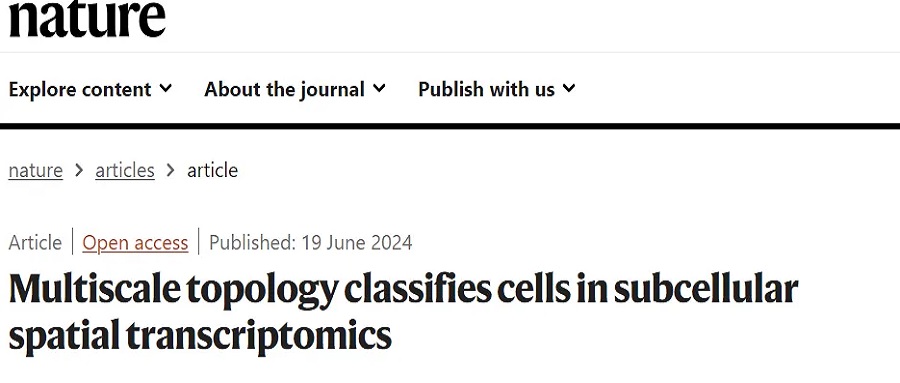 Nature | Stereo-seq助力牛津大学人类遗传学中心等机构采用多尺度拓扑学实现细胞分类