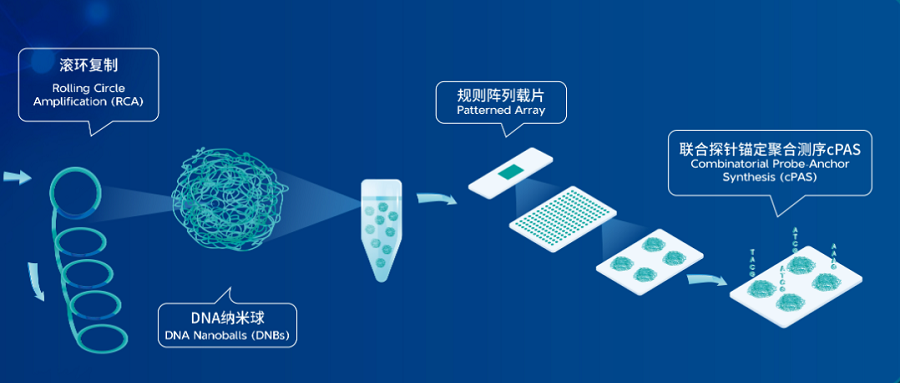 基于华大智造DNBSEQ技术，三款国产测序仪获批国家药监局医疗器械注册证！
