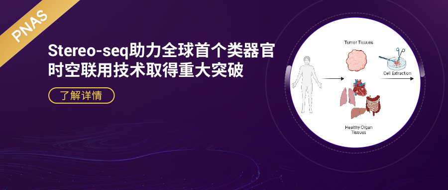 PNAS | 华大携手清华深研院等构建全球首个类器官-时空联用技术，助力精准医疗和药物开发