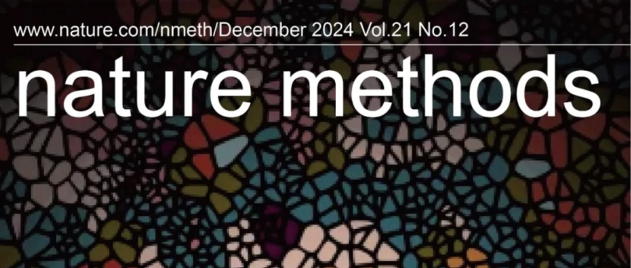 空间蛋白组学！Nature Methods 2024年度方法出炉，华大智造FluoXpert提供一体化智能工具