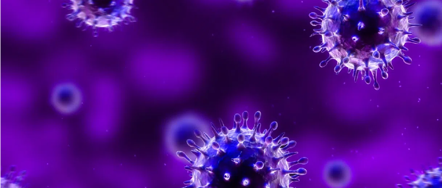 猴痘病毒(Monkeypox virus, MPXV)测序组合产品
