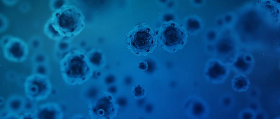 微生物领域再上新！华大智造推出微生物组靶向宏条形码测序组合产品