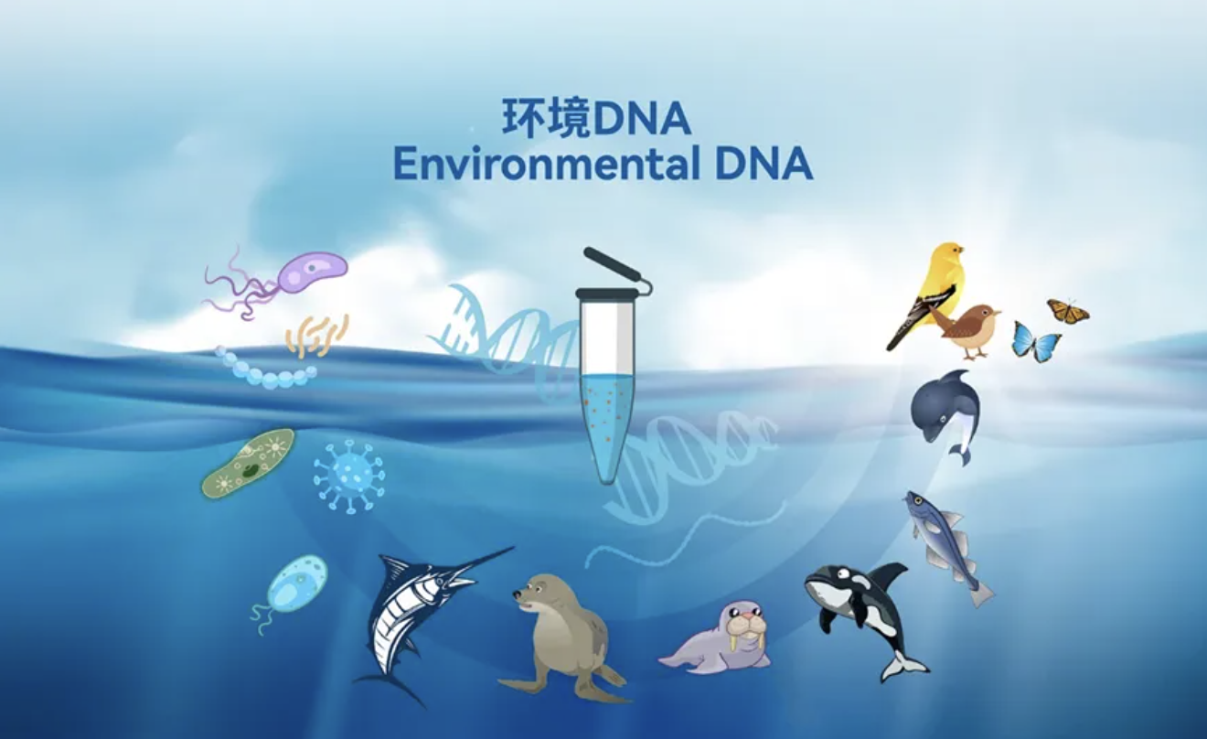 用户测评丨凌恩生物基于华大智造DNBSEQ-G99的环境DNA检测方案